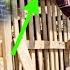 Combining Wood And Stone A Single Mother Builds A Mountain House2025