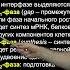 Дубынин В А 100 часов школьной биологии 2 12 Размножение клеток митоз