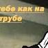 Зелёный слоник Я на тебе как на трубе