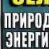 Сок сельдерея Природный эликсир энергии и здоровья Энтони Уильям Аудиокнига