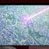 Apocalypse Hotel Cat Guy Goes Around The World Apocalypsehotel Anime Daftpunk Anime Pretty