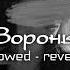 Вороны Xcho Slowed Reverb Lyrics