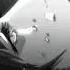 Sarah Cothran As The World Caves In Wuki Remix SLOWED