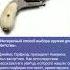 Закрытая история