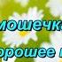 Пой гармошечка играй