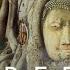 Bodhi Tree Meditation Healing Relaxation Ambient Meditation Music