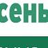 За любовь за милость за спасение фонограмма минус и слова