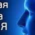Ежедневная настройка с Высшим Я