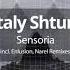 Vitaly Shturm Sensoria Original Mix