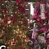 11 TV Hill Festival Of Trees Marks 35 Years Supporting Kennedy Krieger