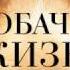 СОБАЧЬЯ ЖИЗНЬ в кино с 30 марта