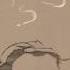Oblivion By Astor Piazzolla Animation Ryan Woodward Thought Of You