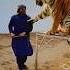 Lion Tiger Attitude Animals Funny Remix Music Song Dj