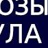 Регуляция глюкозы и стула по Гаряеву