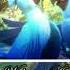 Rio 2 Beautiful Creatures Norwegian