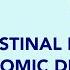 Gastrointestinal Dysmotility In Autonomic Disorders