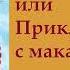 гл 1 Путь Кассандры или Приключения с макаронами Юлия Вознесенская аудиокнига