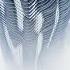 Lorenzo Ferrara Posterity Hypersonic Music