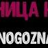 Гостиница космос MNOGOZNAAL караоке под минус