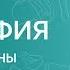 География 7 класс Природные зоны Африки