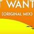 Ayad Diris Dont Want You Original Mix