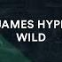 James Hype Wild Extended Mix