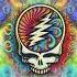 The Grateful Dead The Eleven Shorts MindEyeExperience KaleidoscopeArt Psychedelic