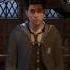 Процесс распределения по факультетам Hogwarts Legacy Hogwartslegacy Hogwarts хогвартс Steam Ps5