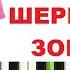 Красивая мелодия на пианино ШЕРБУРСКИЕ ЗОНТИКИ ПРОСТАЯ ВЕРСИЯ