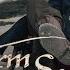 Storm Seeker Gouverneur Of The Coco Island Official Video