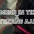 DJ Diamond In The Sky X Tenang Aja