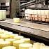 How Mayonnaise Is Made How Hellmann S Real Mayonnaise Is Made In Factory