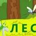 Стих Лесная Академия Чтец Даша 4 года