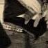 PAIN Feed Us Feat Anette Olzon OFFICIAL MUSIC VIDEO
