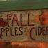 Apple Cider Beabadoobee Nightcore Sped Up And Pitched