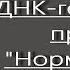 ДНК генеалогия разгромила Норманнскую теорию