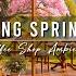 Warm Morning Jazz Music At Spring Coffee Shop Ambience Relaxing Jazz Instrumental Music To Study