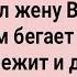 Как Сосед Васину Жену Обесчестил Сборник Свежих Анекдотов Юмор