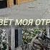 Выпуск 55 Живёт моя Отрада