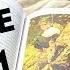 10 прекрасных летних книг