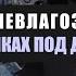 О пылевлагозащите и съёмках под дождём