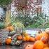 Chelsea London City Walk At Halloween Sloane Square To Cheyne Walk Via King S Road London Autumn