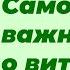 Самое важное о витамине Д Прямой эфир с профессором Дадали В А