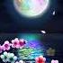 Moonlight Flower Video Samsung Galaxy Theme