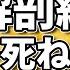 あいみょん 貴方解剖純愛歌 死ね アコギ弾き語りカバー コード歌詞付