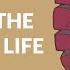 HYMN TO THE DECADENT LIFE 退廃的人生讃歌 English Cover Kasane Teto SV