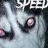 HUSMUT миллион Speed Up Remix