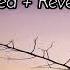 Rauf Faik я люблю Slowed Reverb Another Sad Night