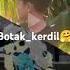 Ni Artiss Tiktok