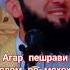 мавлави ахмад фируз